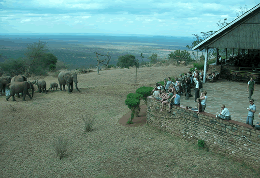 Ngulia Safari Lodge